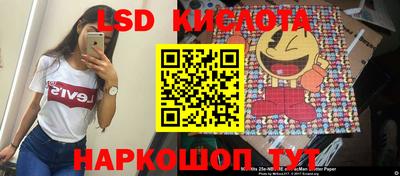 стаф Шелехов