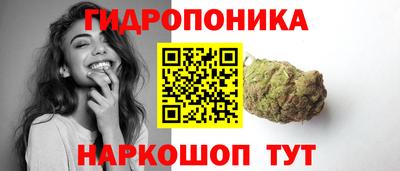 стаф Шелехов