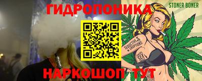 стаф Шелехов