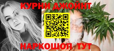 стаф Шелехов