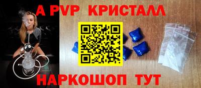 стаф Шелехов