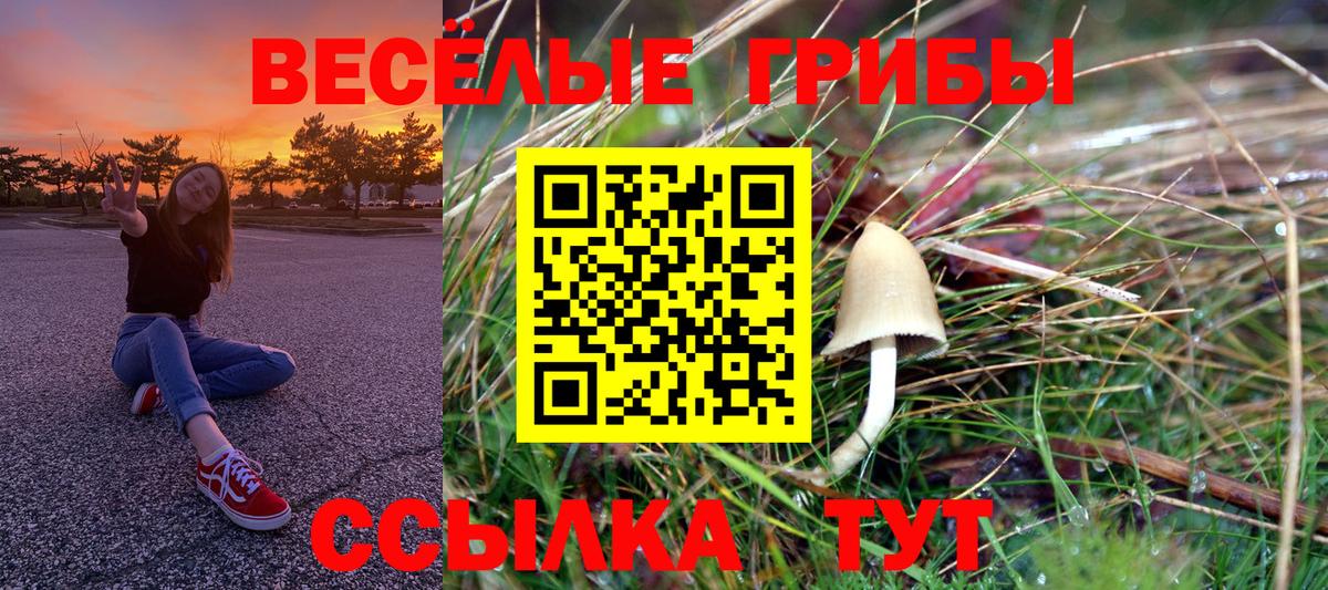 магазин    Галлюциногенные грибы MAGIC MUSHROOMS  Вход с VPN  Дубна 