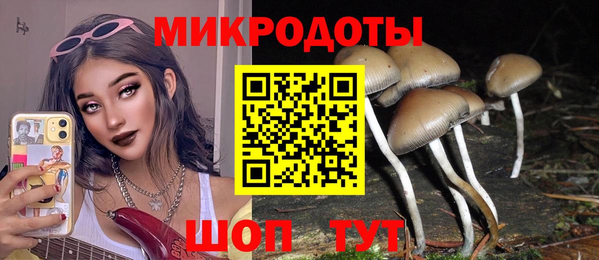 Галлюциногенные грибы Magic Shrooms Дубна